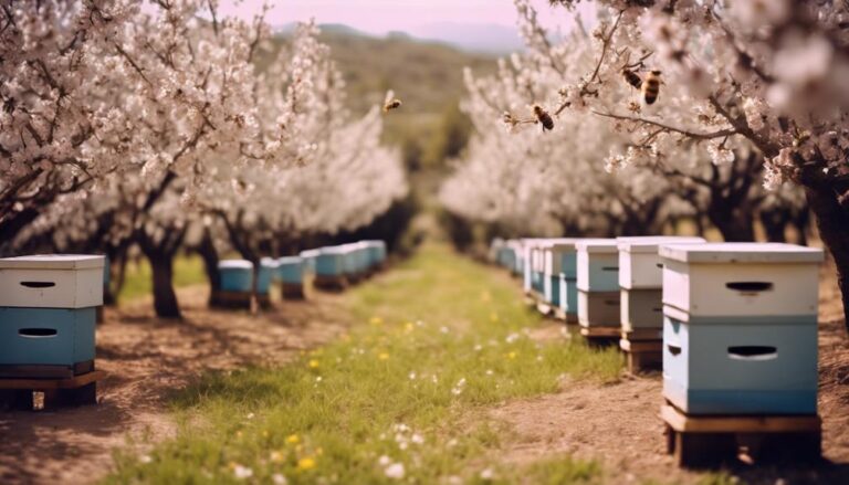 almond orchard bee management