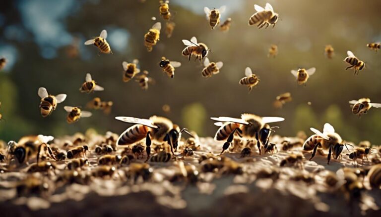 bee hierarchy and roles