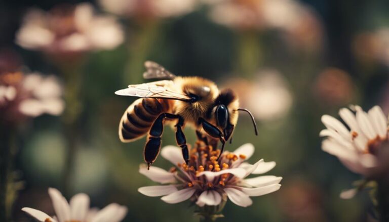 beehive identification and tracking