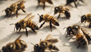 identifying common types of bees