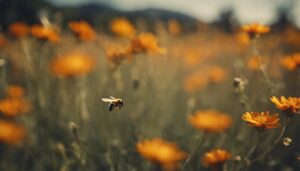 royal italian bee breeding